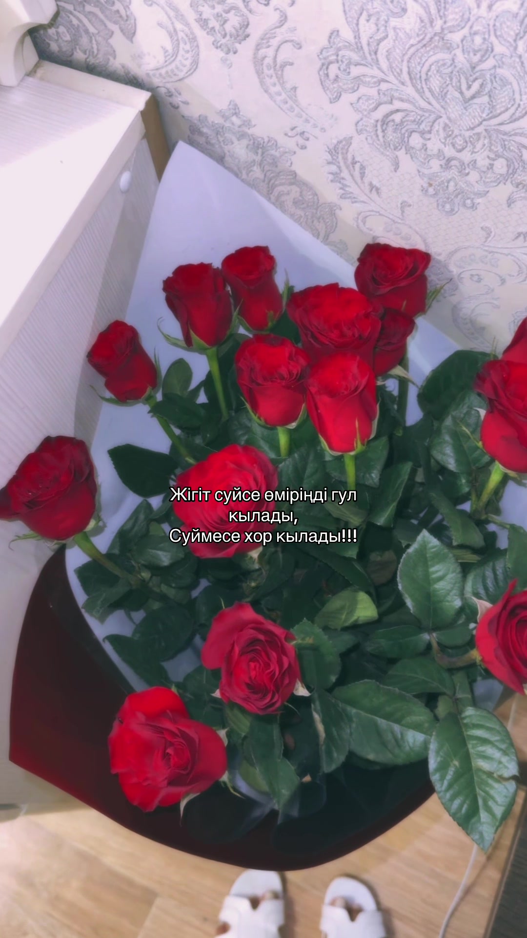 @Ventok_offf