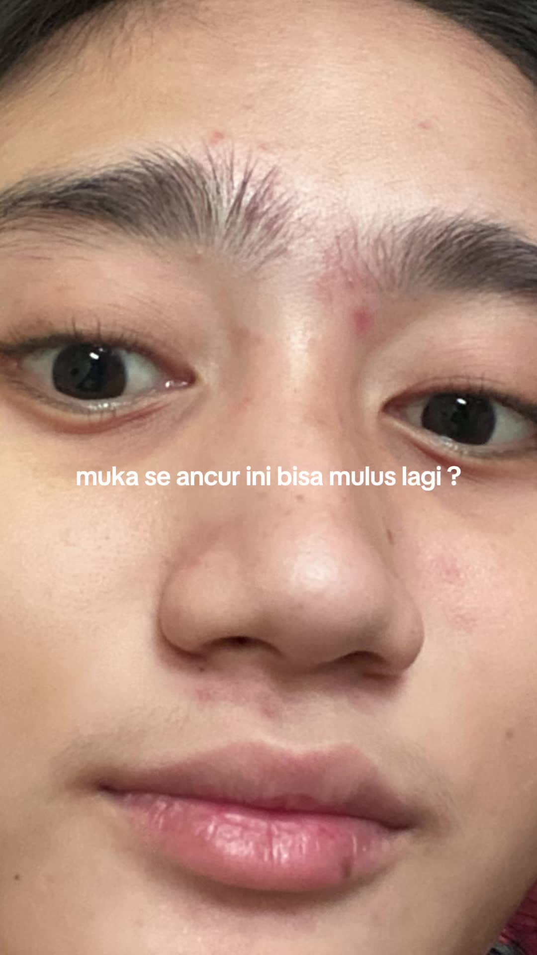 @๐ค๐ฆ๐ค๐๐ โเฑจเงหโกห เฃช
