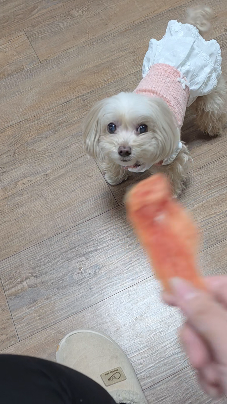 @토리엄마