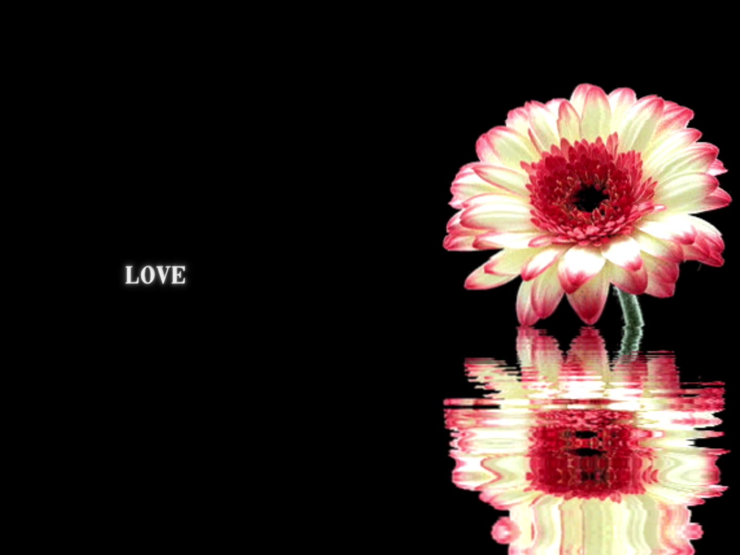 @speed songs | lyrics