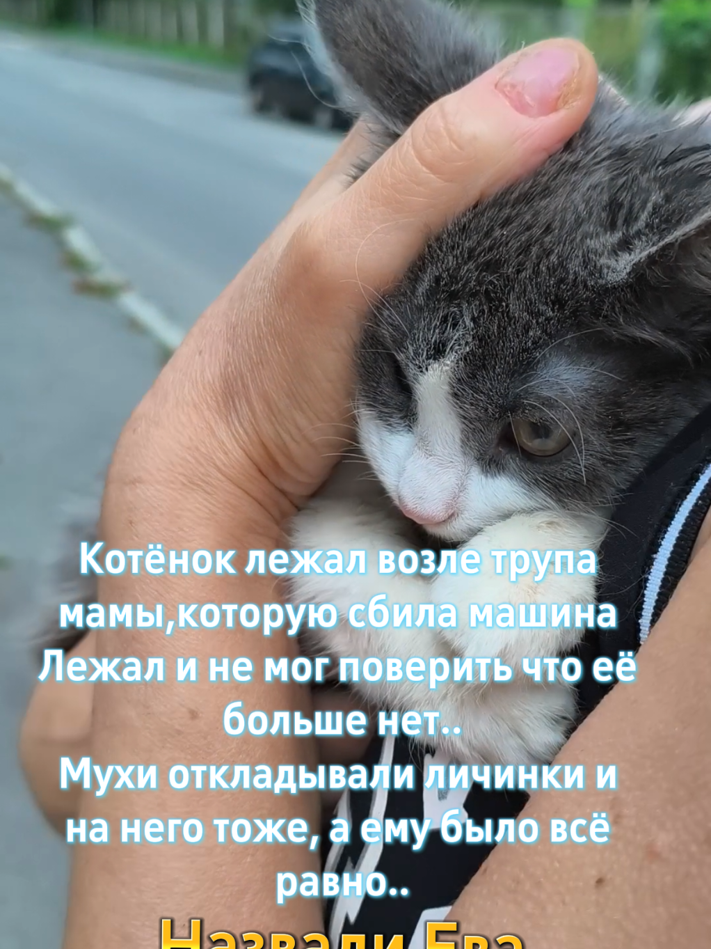 @Elena Barhat