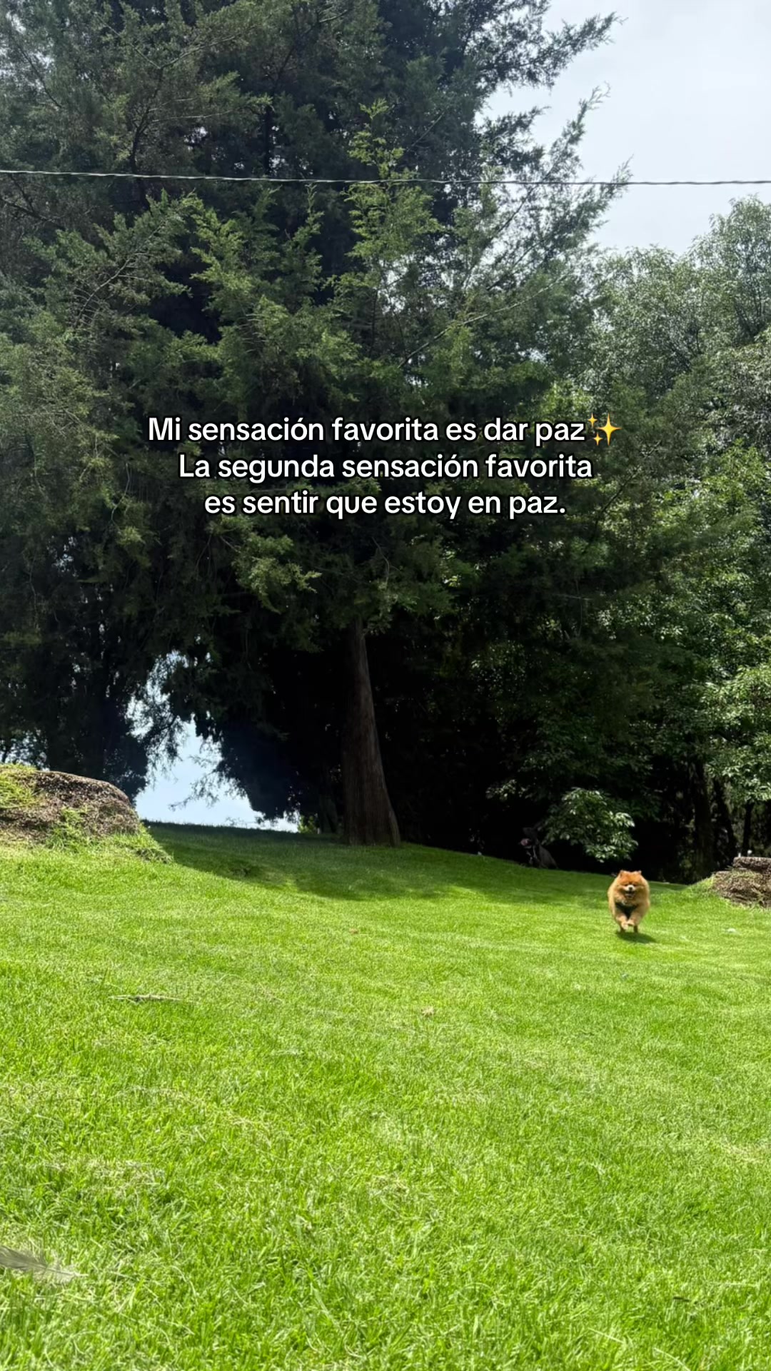 @CennyMoncada🧸🇻🇪