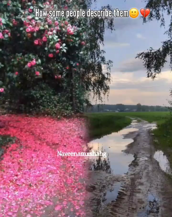 @♥︎ɴ♥︎
