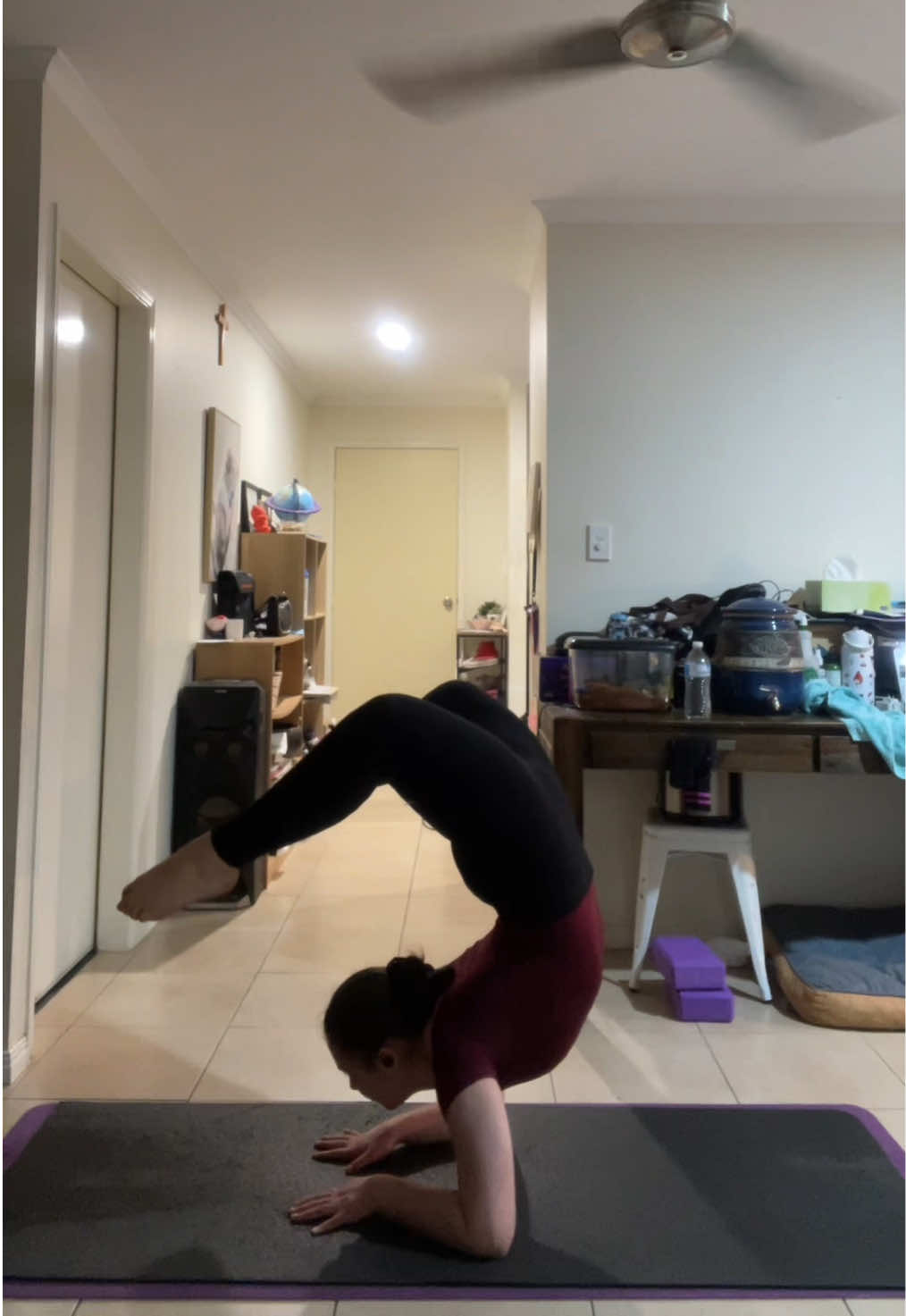 @madzcontortion