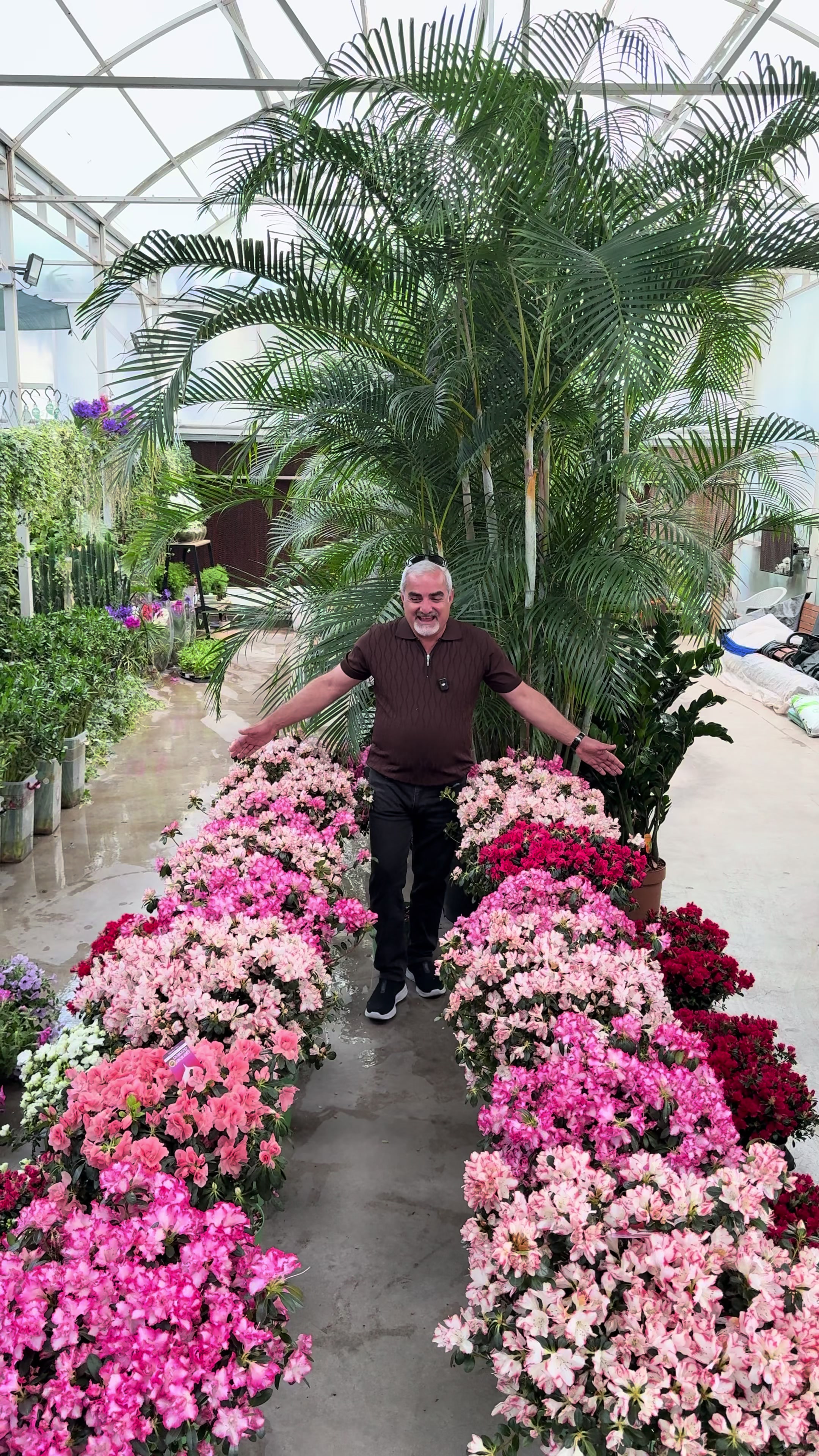 @Heaven flower .Erbil