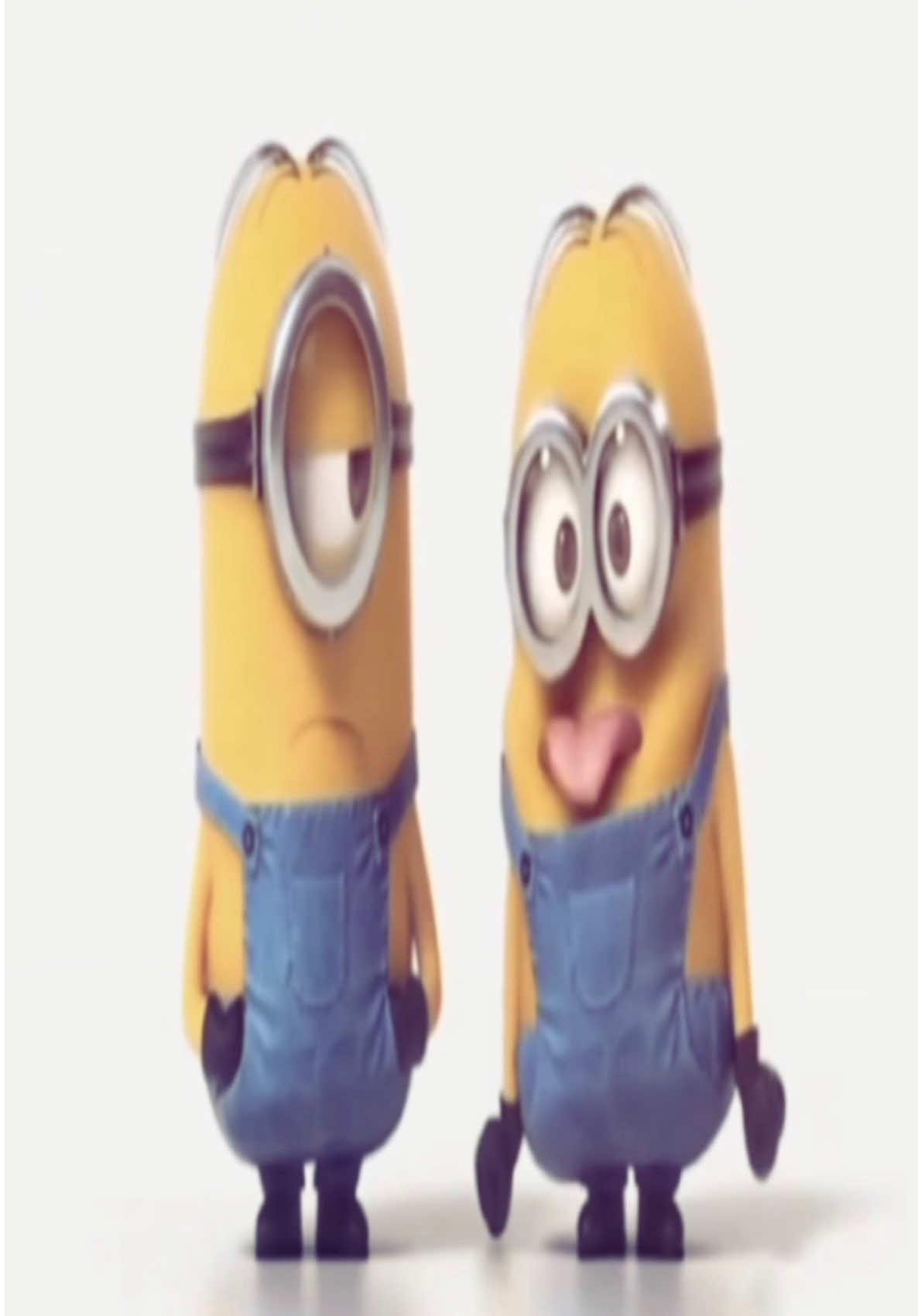 @liza