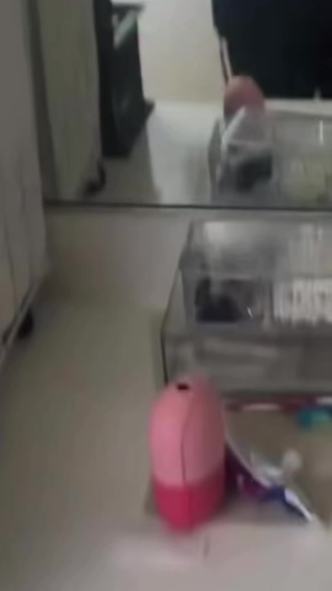 @TIKTOK‘s #1 ᗪᗩᗪ