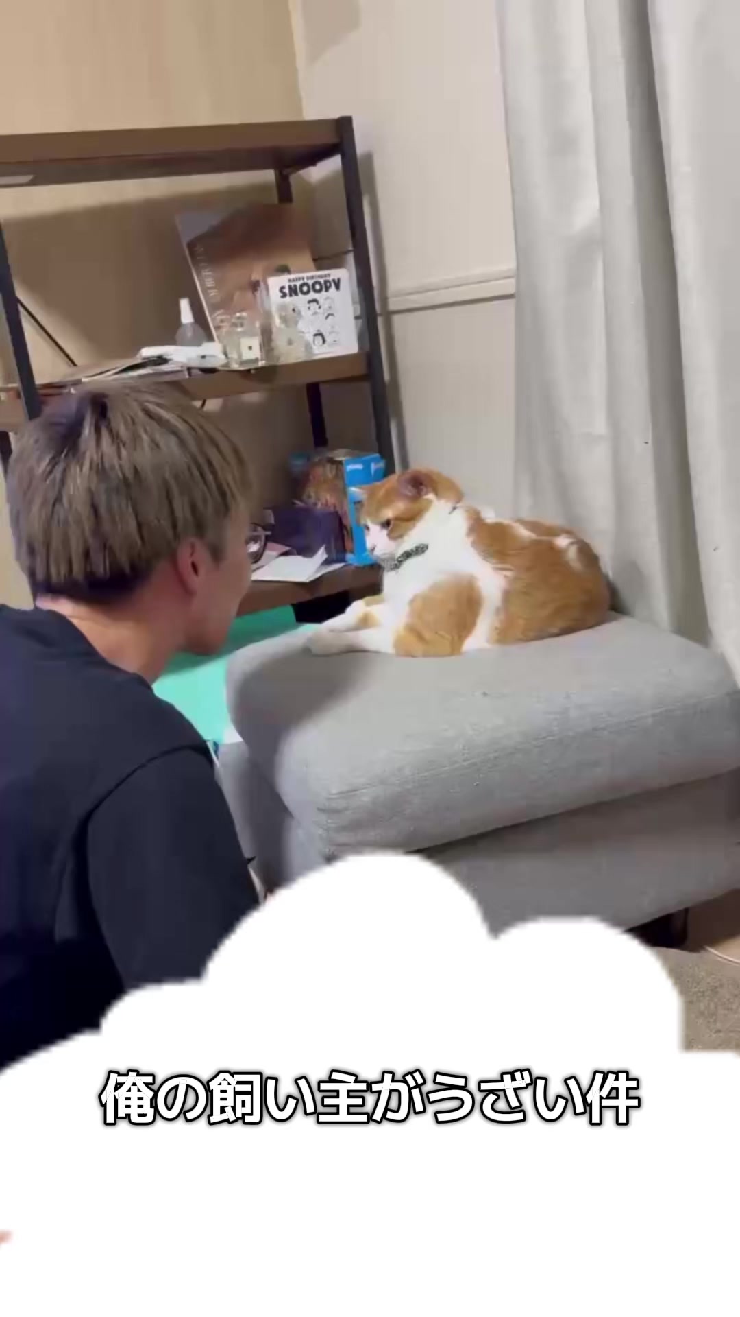 @としぴ