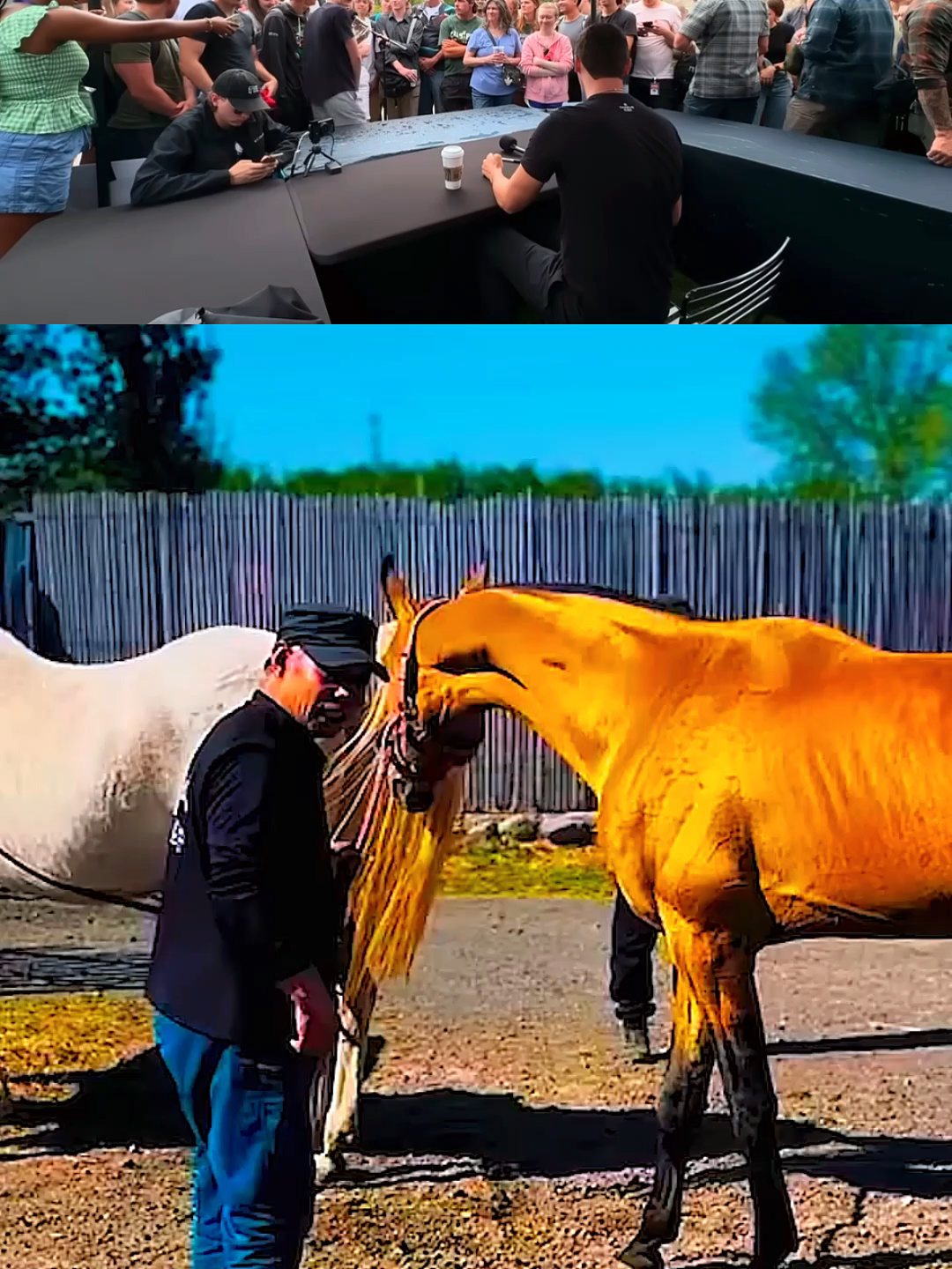 @horselife015