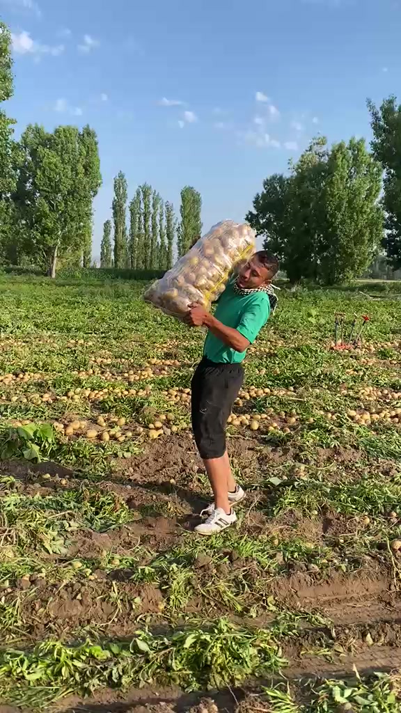 @&ouml;zcan 03