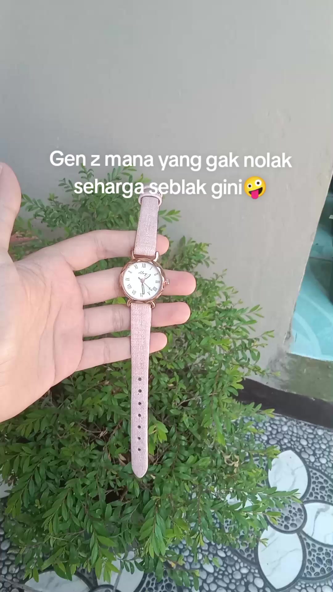 @S-tetik 🛒
