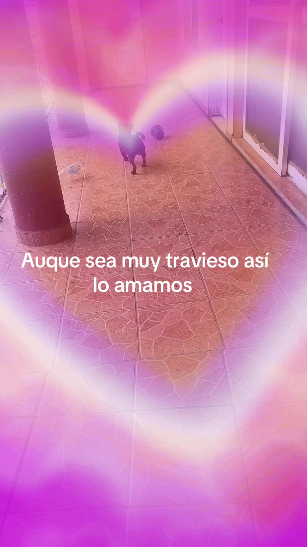 @zeri_065