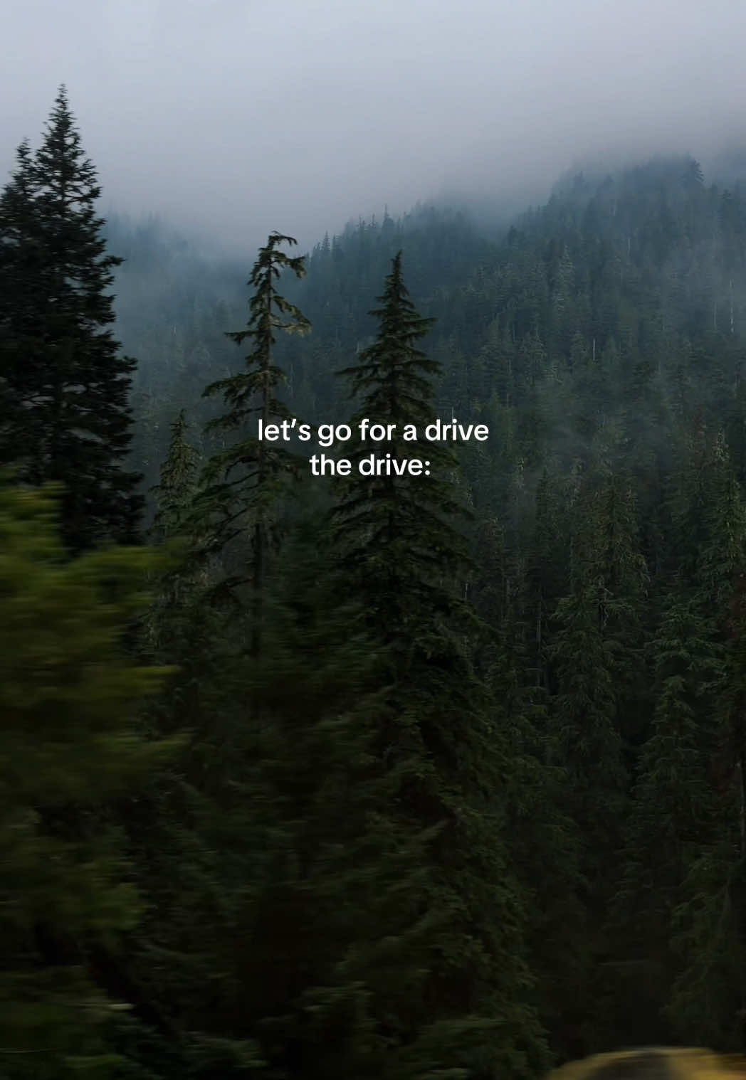 @brenna 🌊✨🌿⛰️