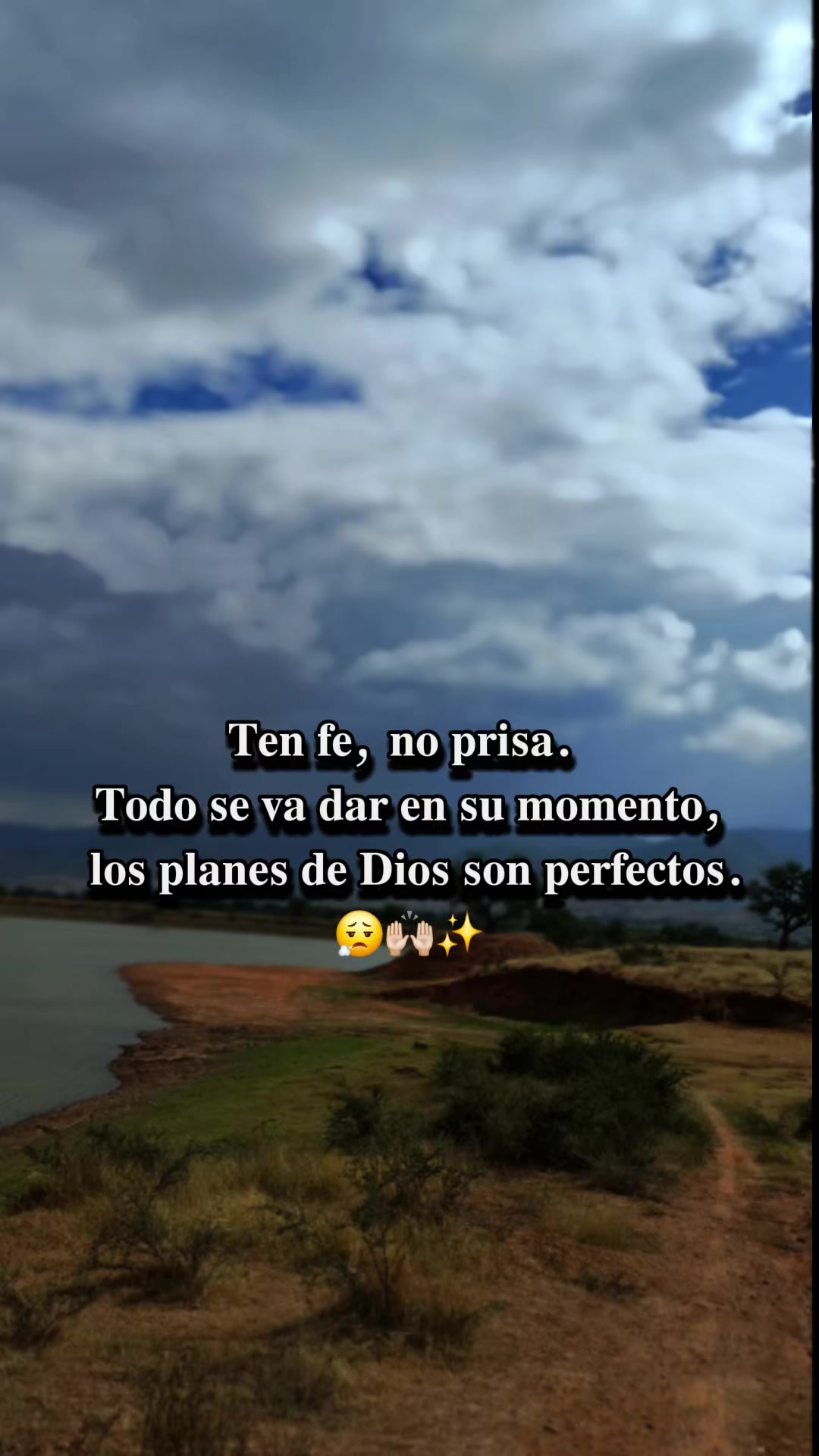 @viko