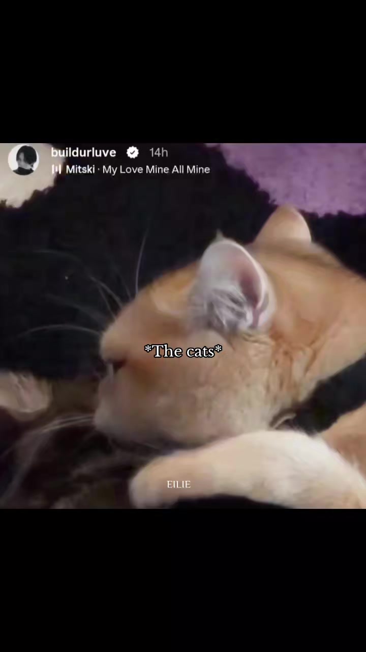 @๐ฌ๐๐ณ๐ฐ๐ฌ๐