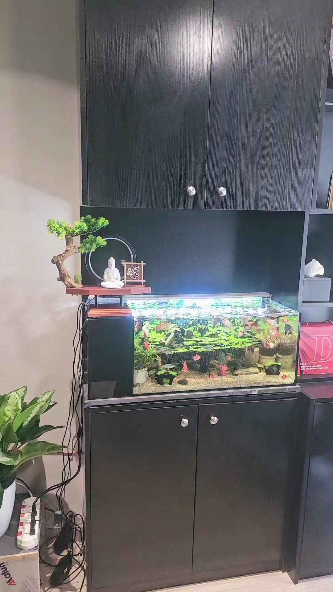 @THẰNG THỢ ĐỤNG