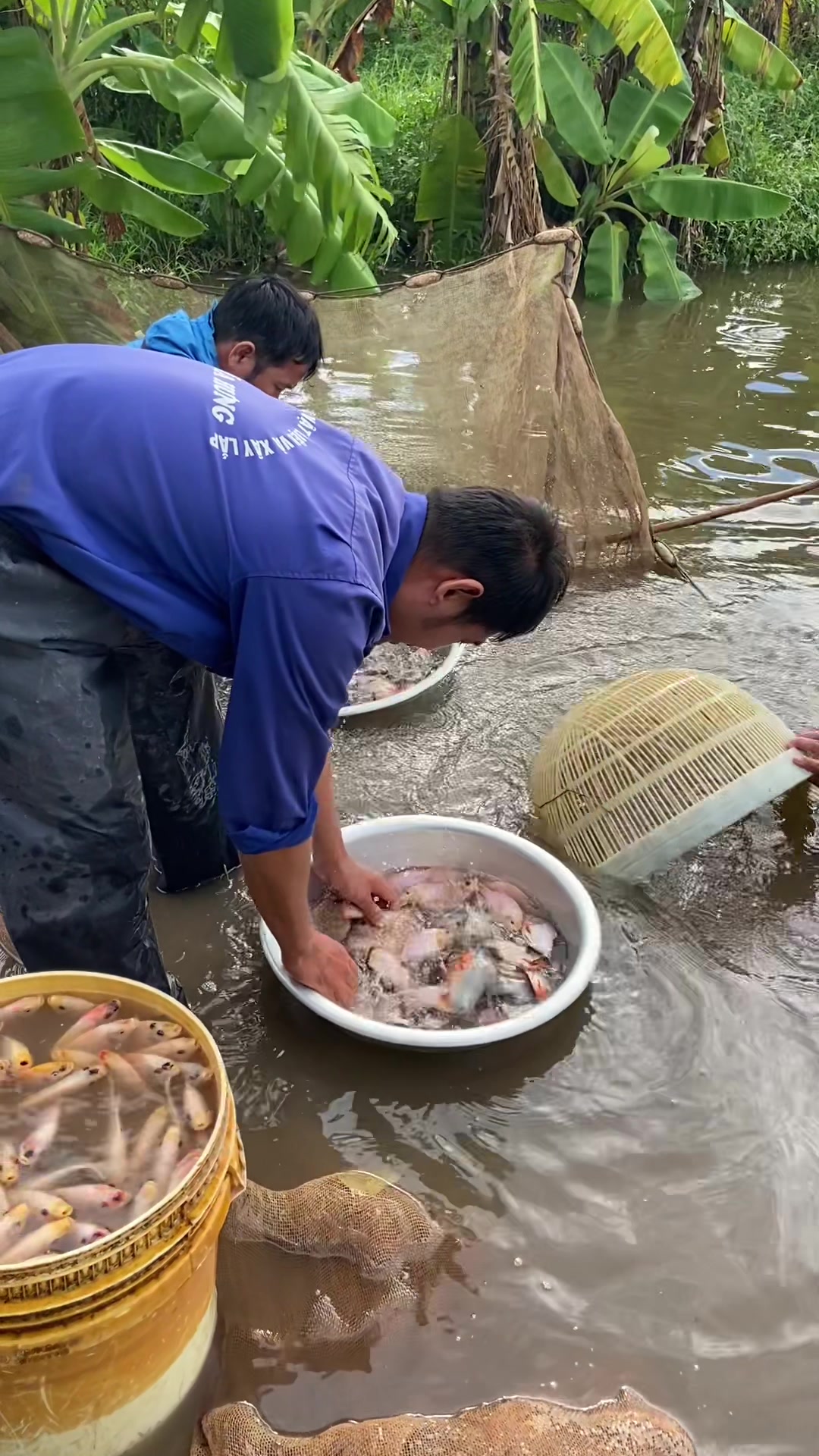 @Trại Cá Giống Quang Lâm