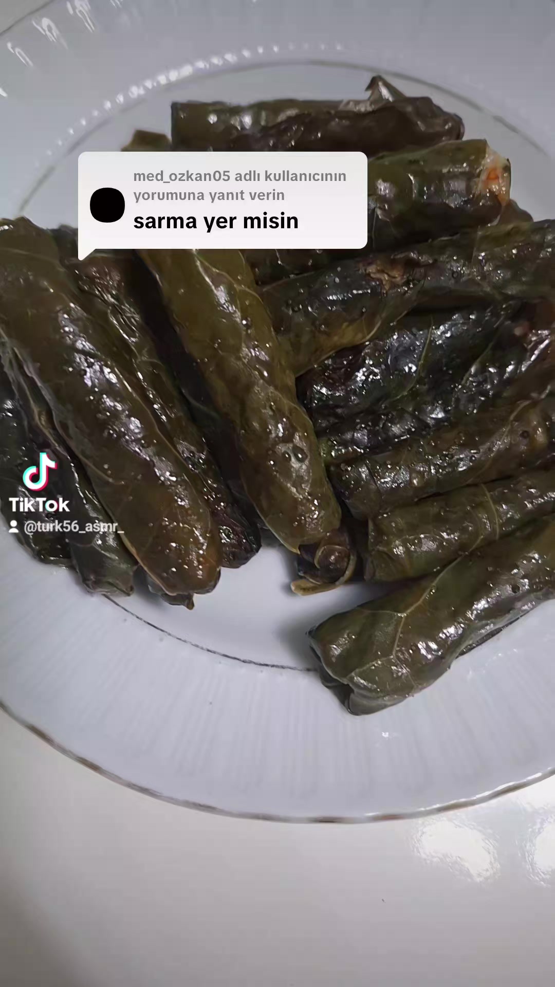 @t&uuml;rk kız asmr