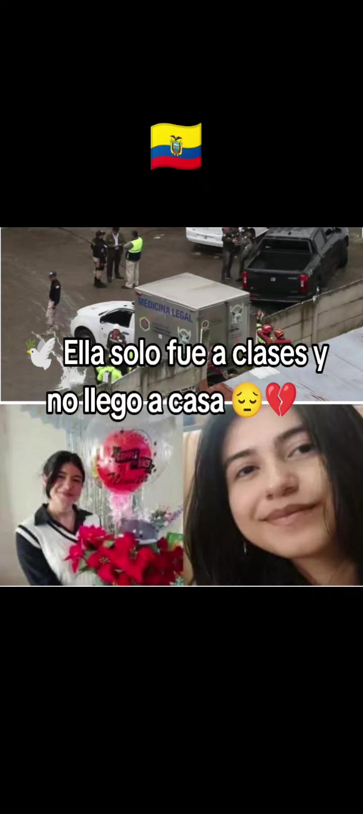@editsDtodo🌬🐹
