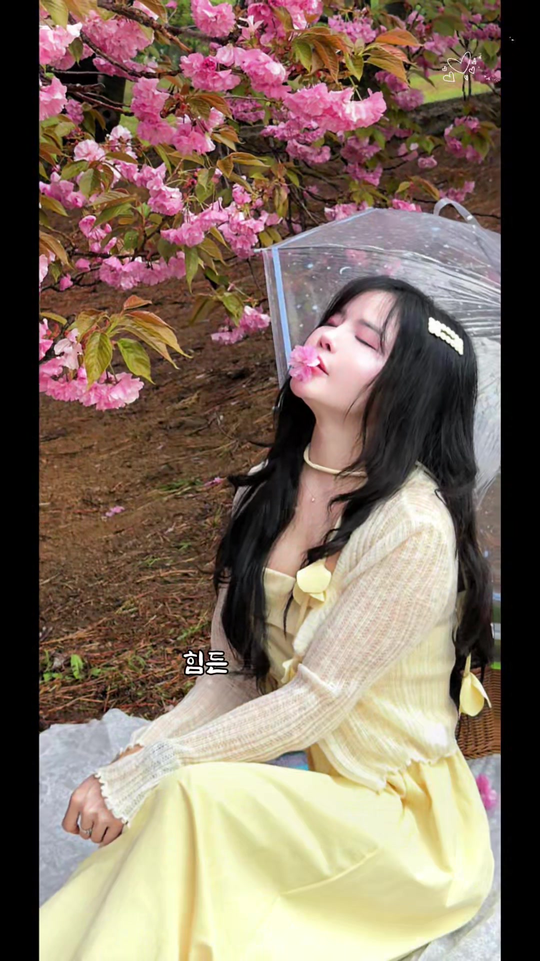 @park jiyeong