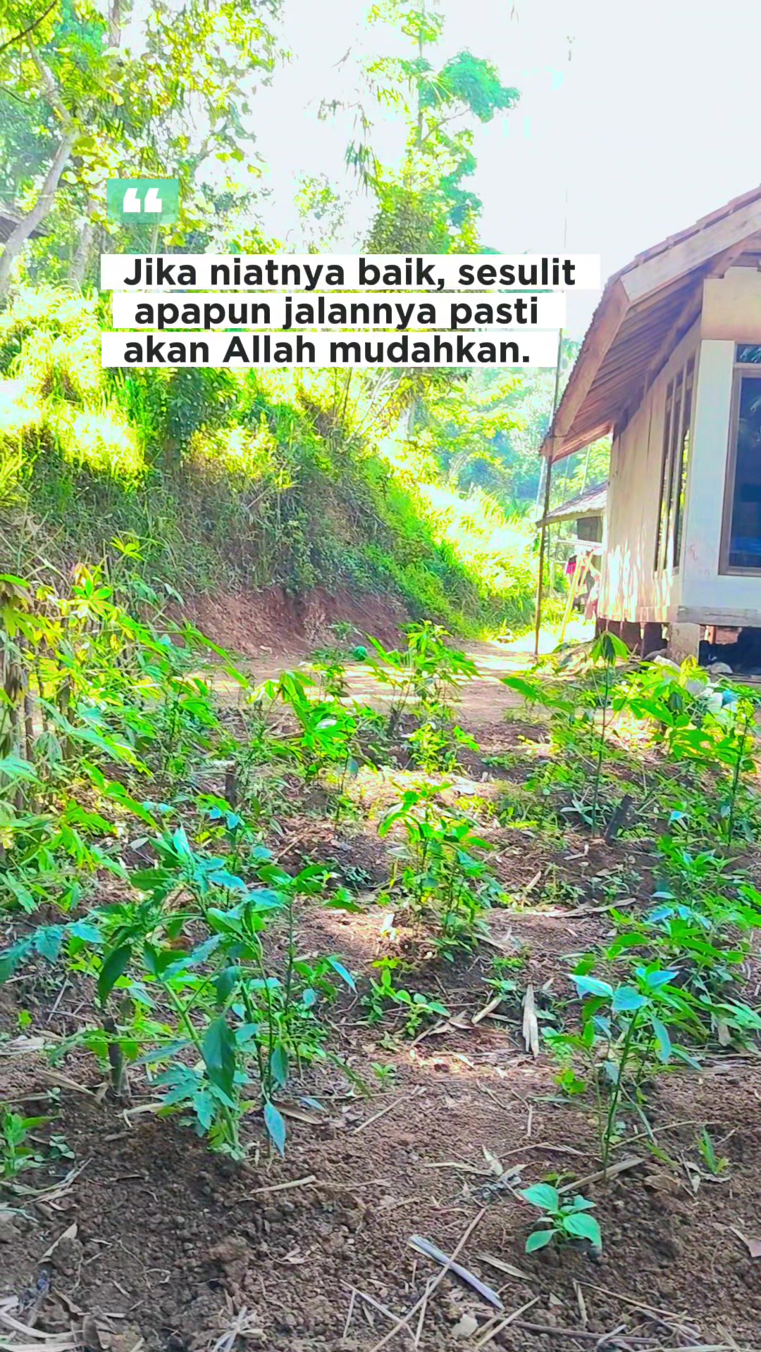 @Bunga Tanpa Tangkai