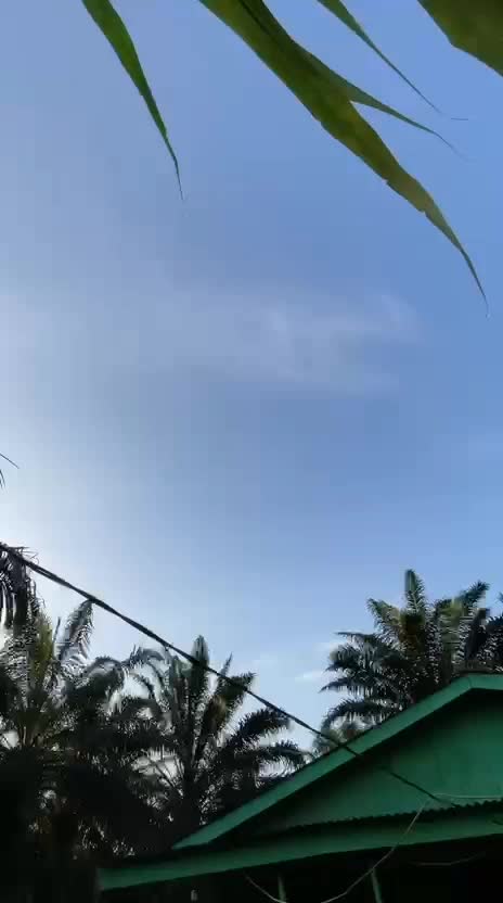 @CB nenot