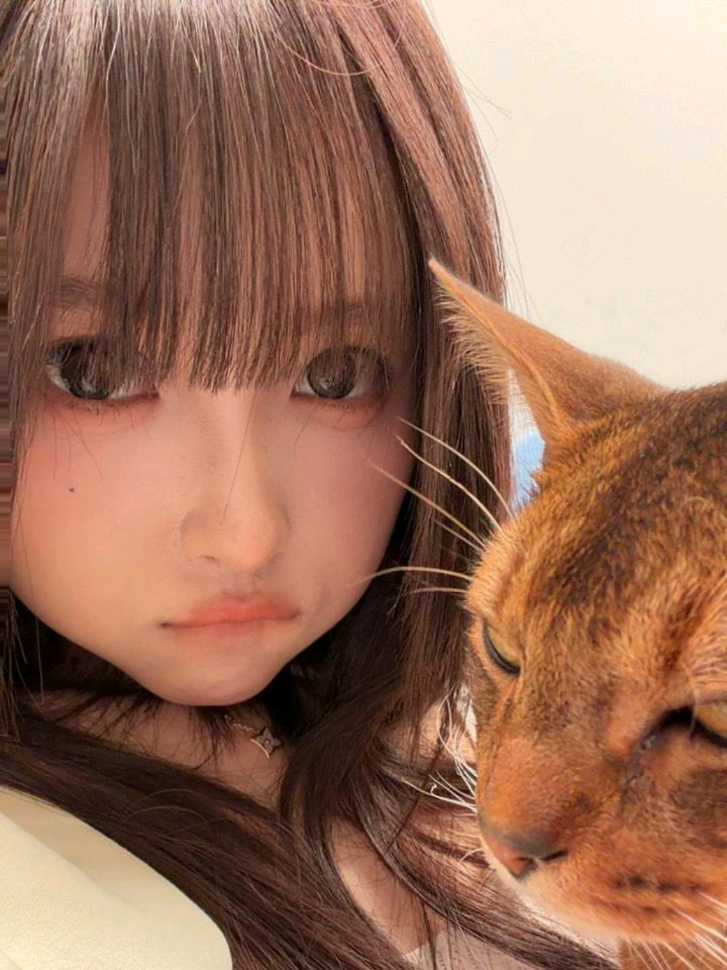 @🍁 王涵 🍁