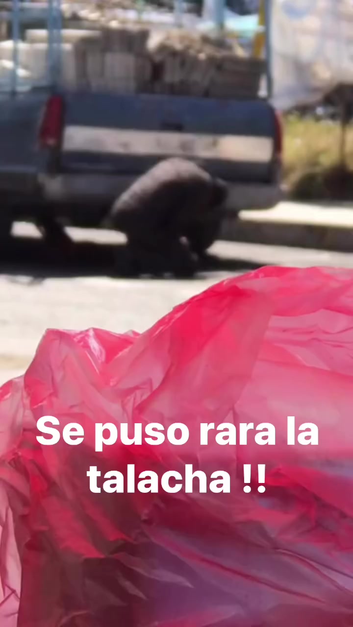 @Memes Deapeso