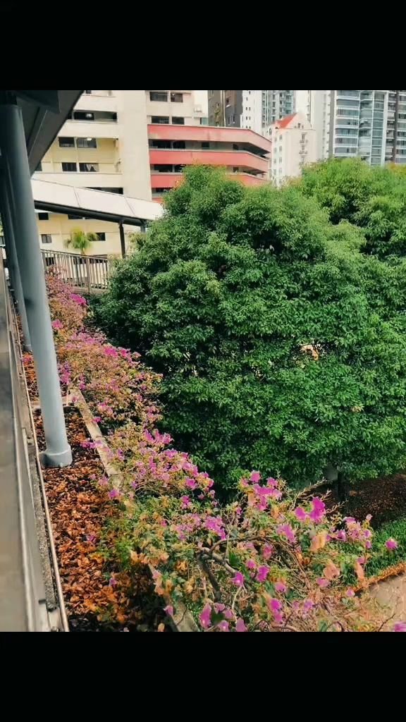 @🇧🇩 yo&upsilon;r тalнa 🇸🇬