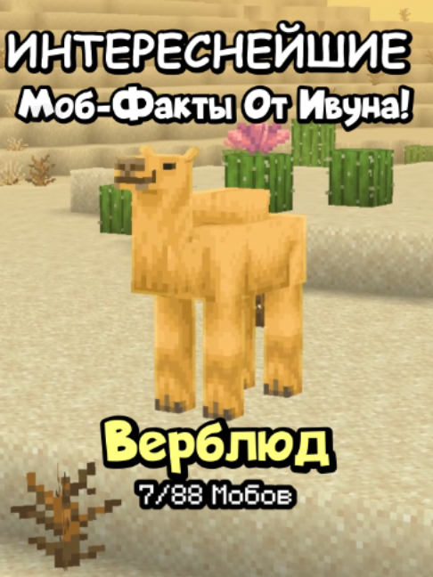 @KompotikIvun