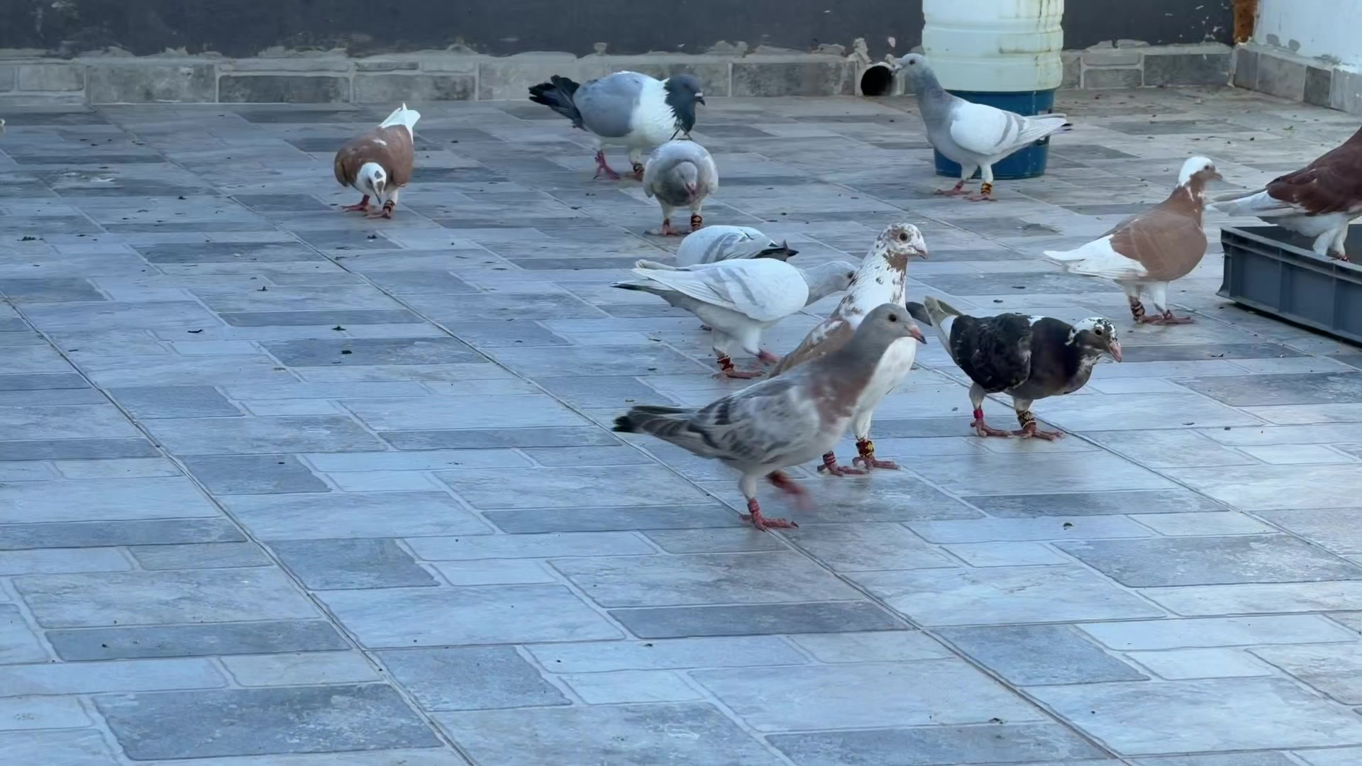 @Mustafa Korkutan