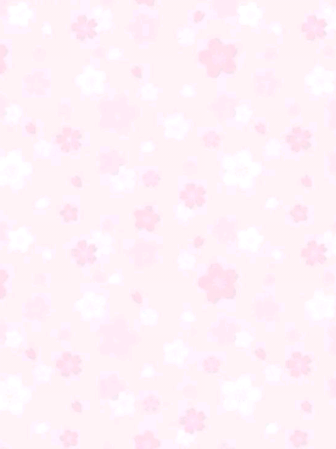 @𝖻𝗂𝖻𝗂𝗂  ✿𝆬