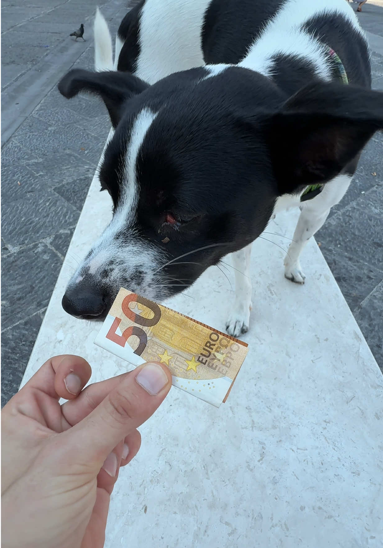 @Cash_Catch_Italy