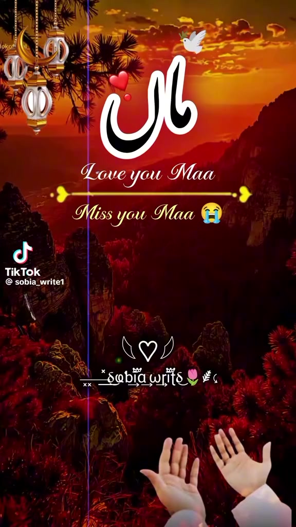 @amanataliali7292