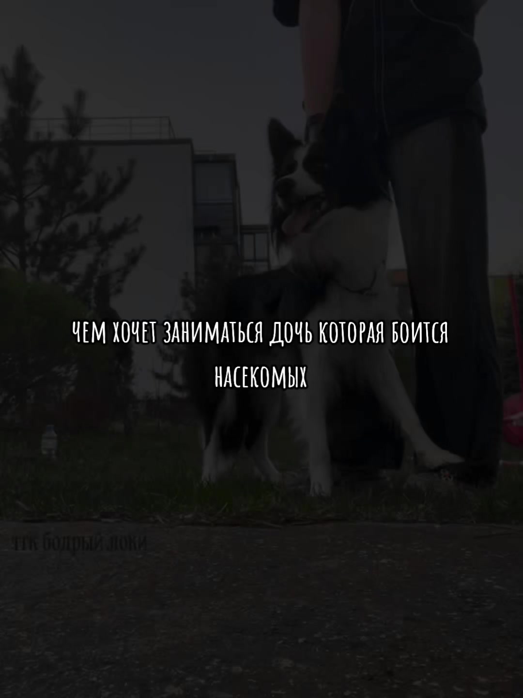 @🐾•ДБ_Darsa•🦩