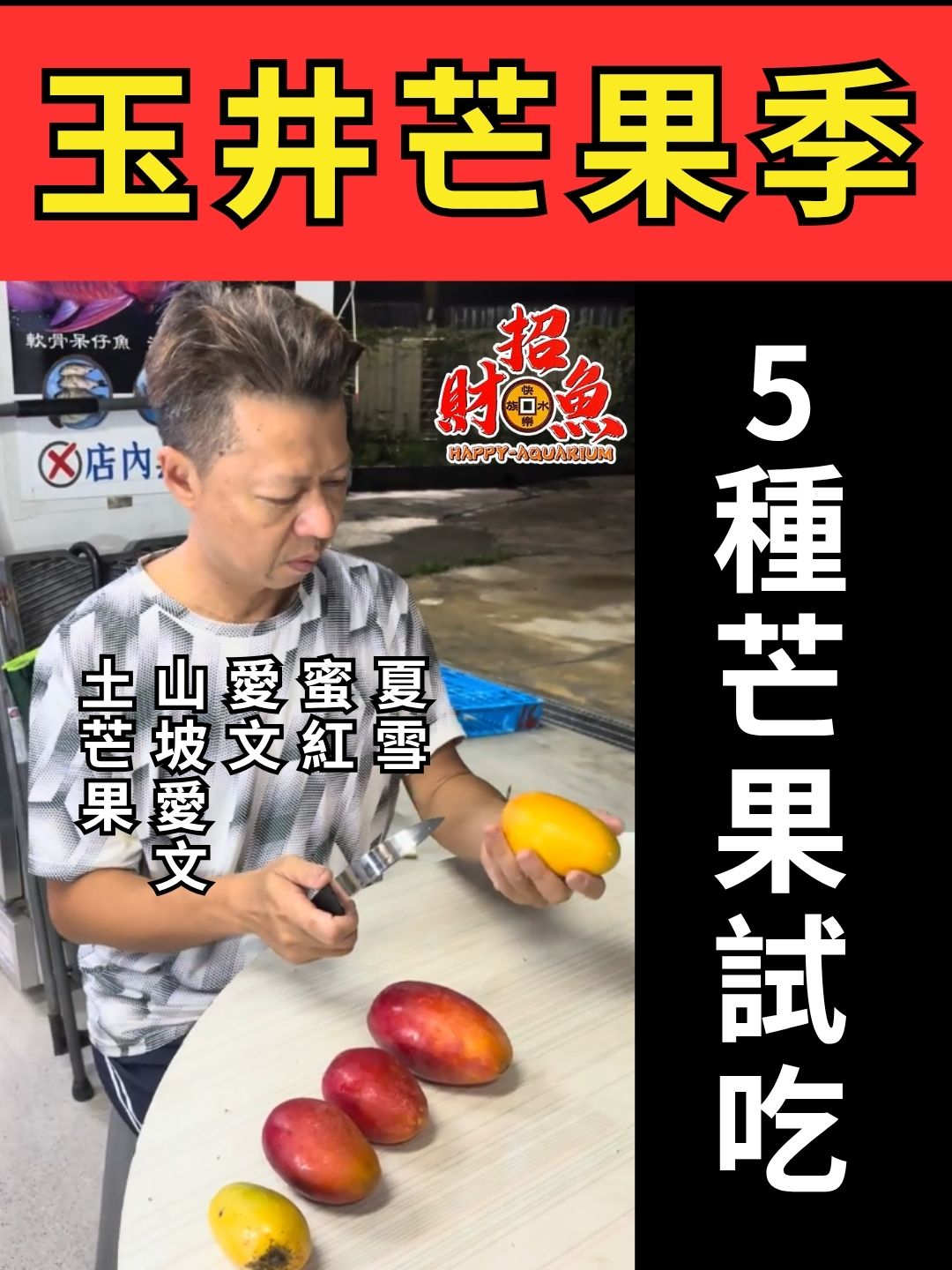 @招財魚水族精品