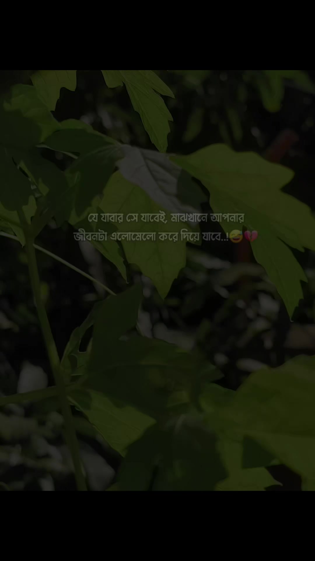 @🍒 𝕔 𝕙 𝕖 𝕣 𝕣 𝕪 🍒