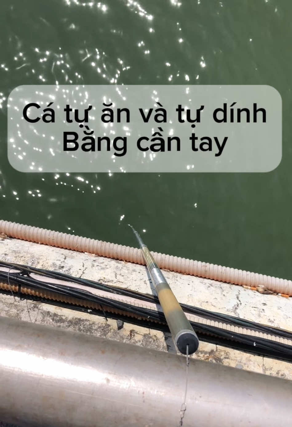 @câu cá Nha Trang
