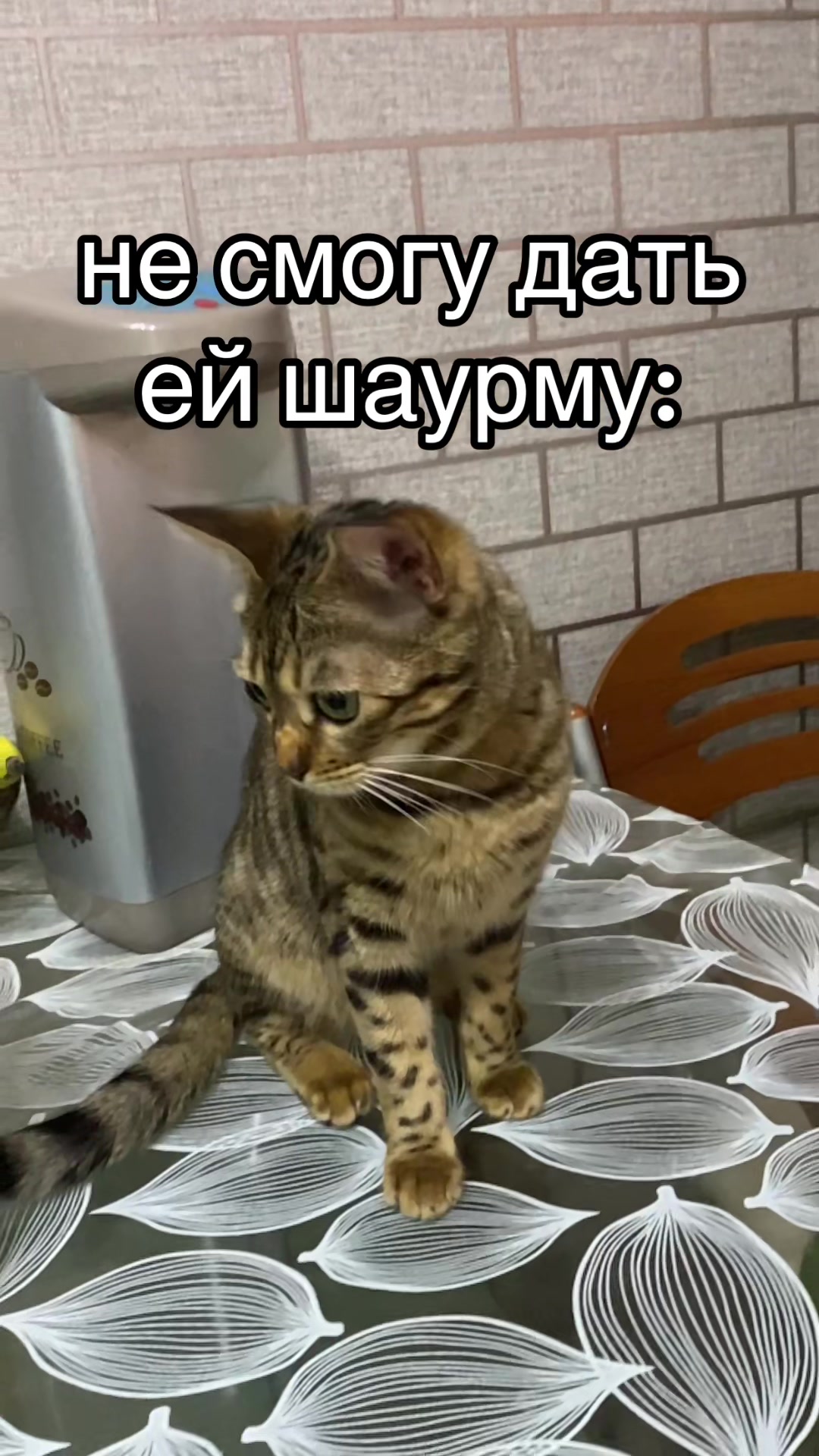 @приключения дена