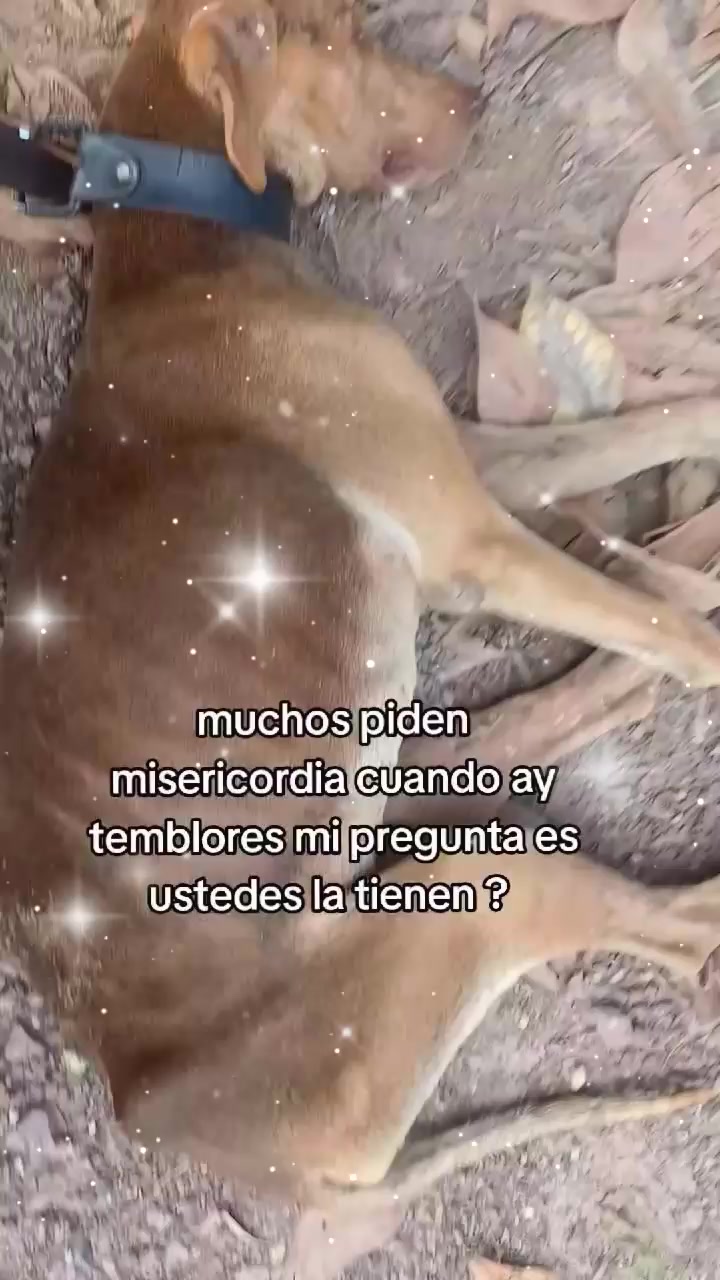 @varcan❤️