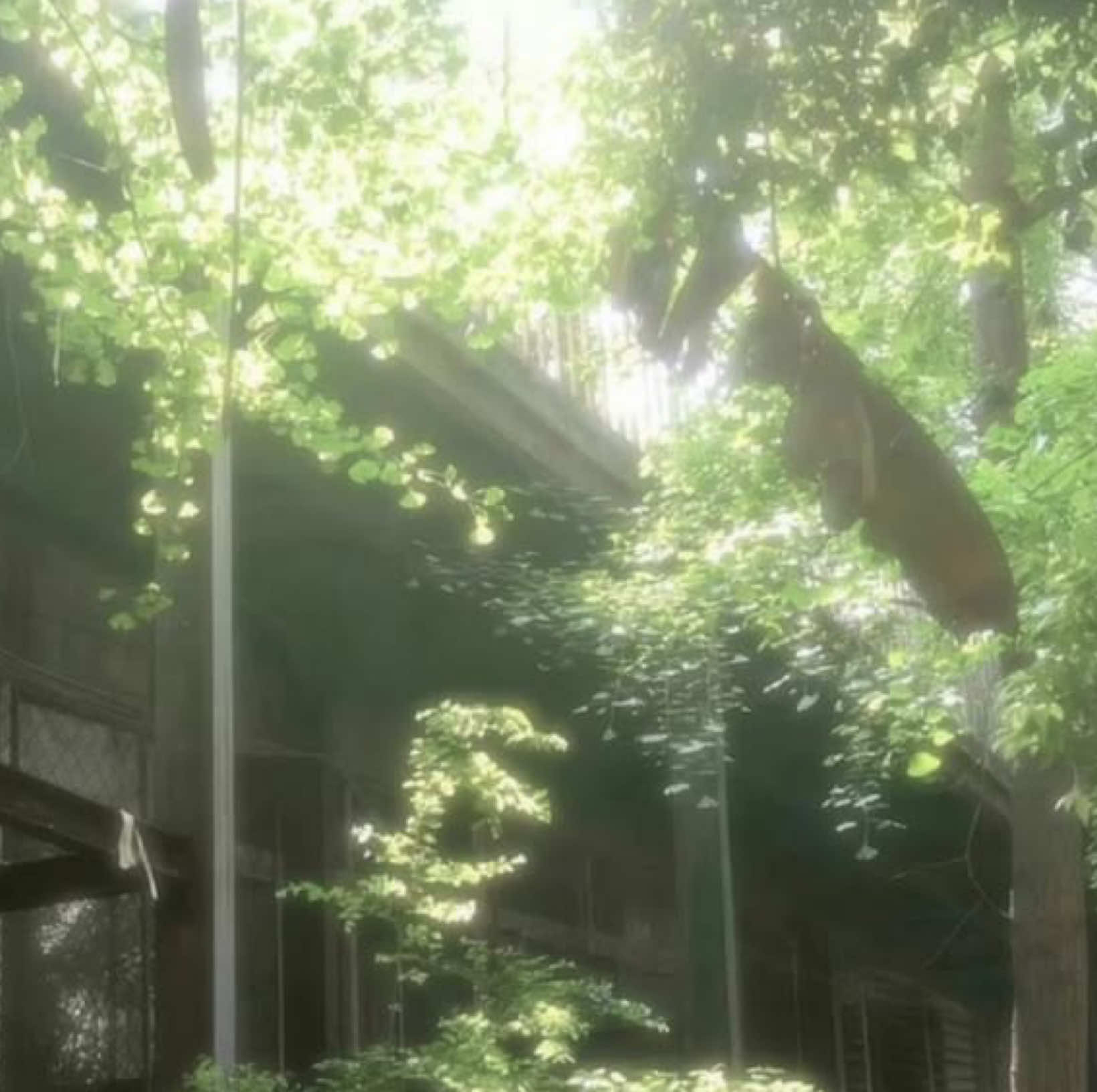 @۶ৎ 🦢🤍 𝐁𝐞𝐨𝐦𝐬𝐞𝐨𝐤 🩶🦢