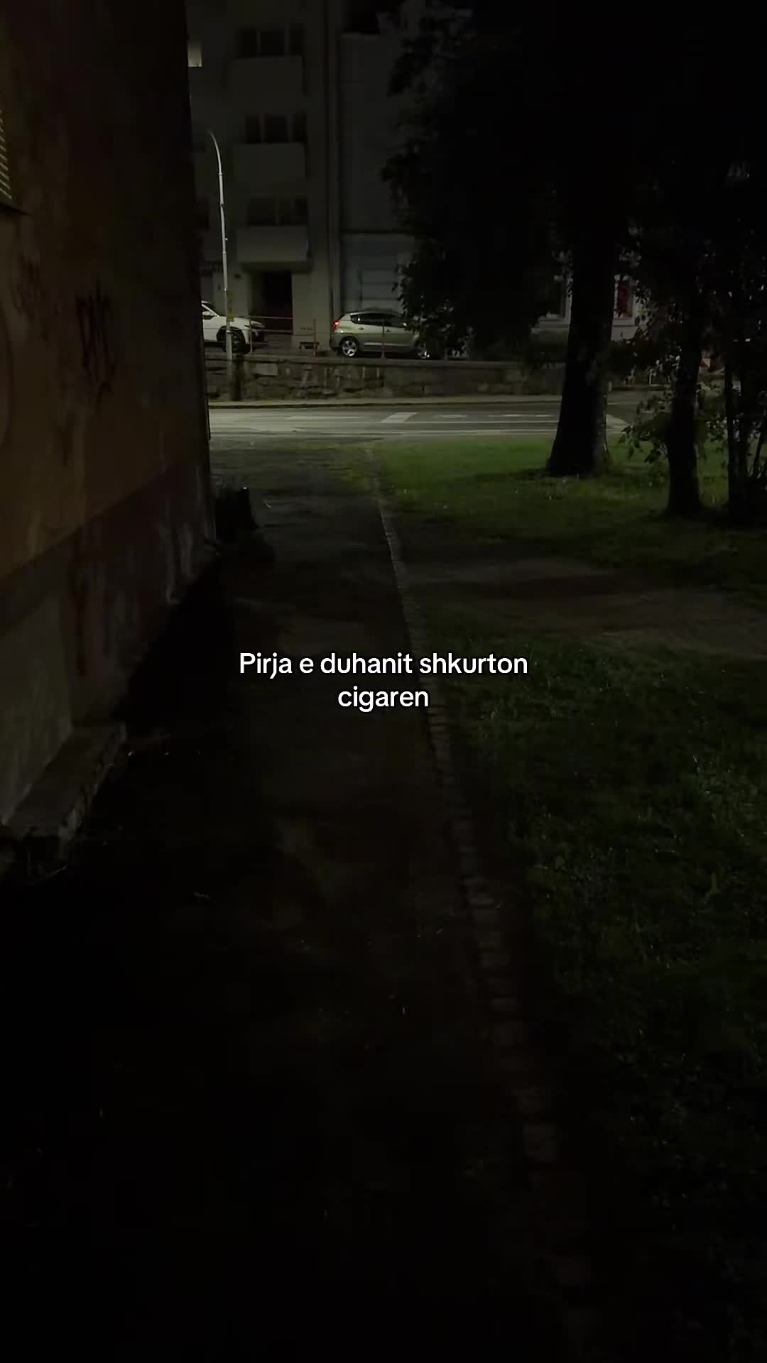 @𝐌𝐎𝐍𝐃𝐈