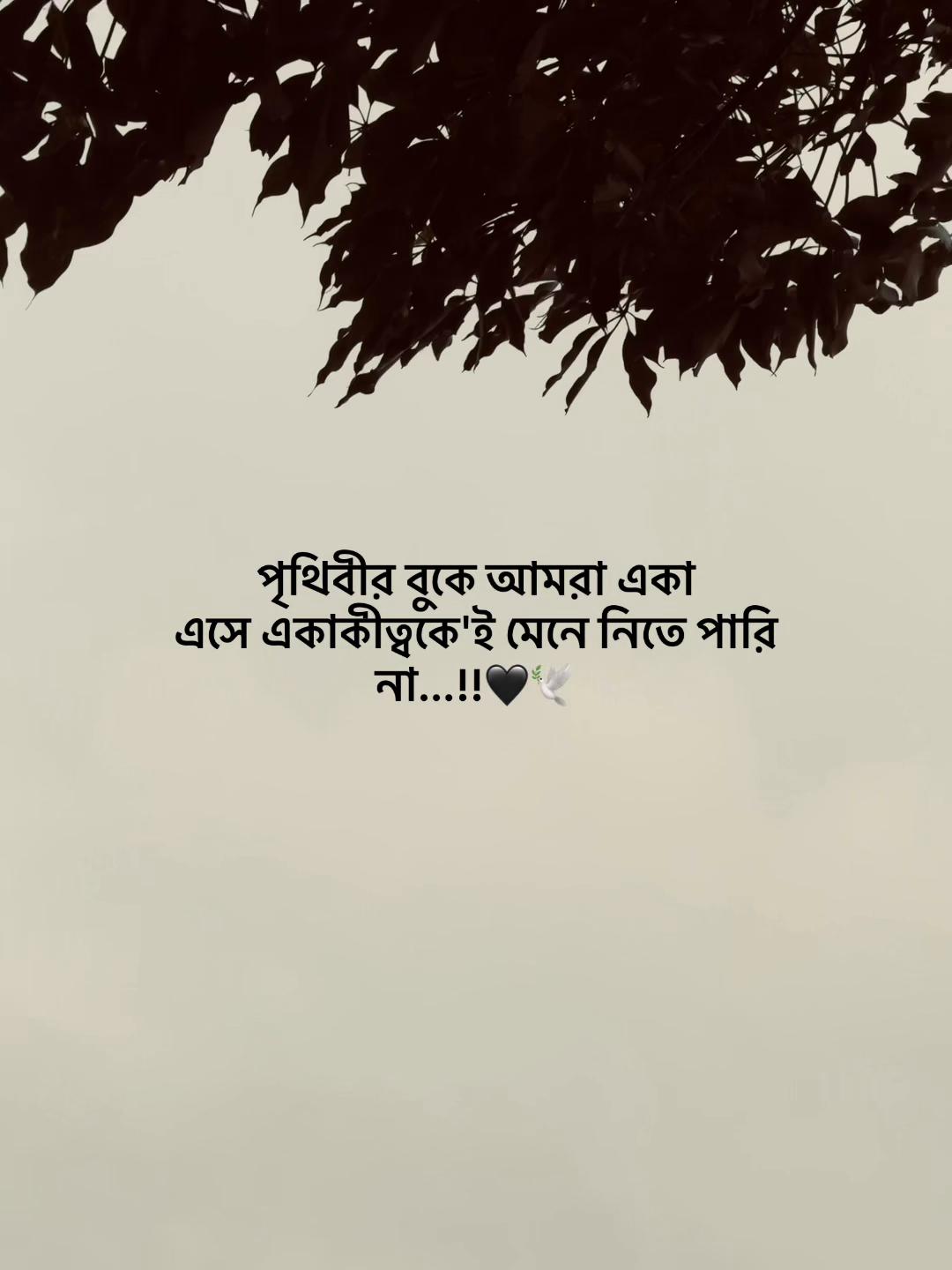 @Jahidul lslam 95
