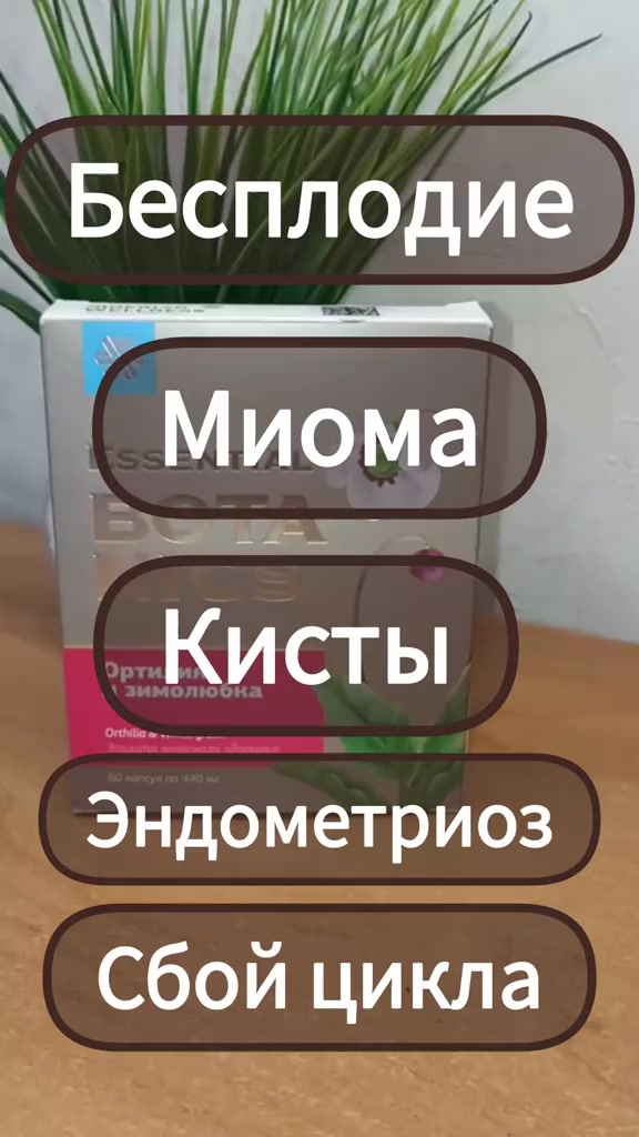 @Светлана Сибирское здоровье