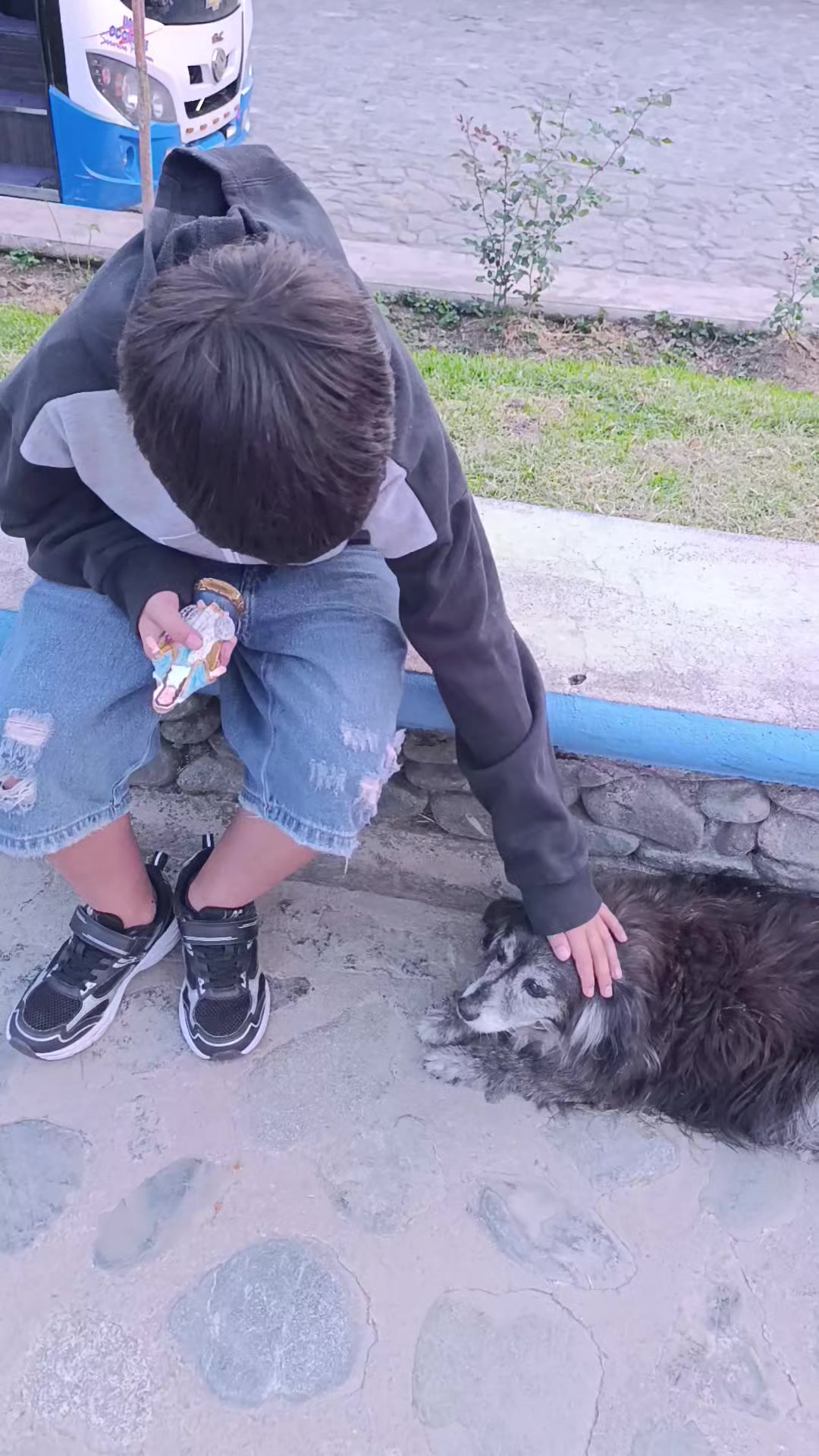 @ruñido