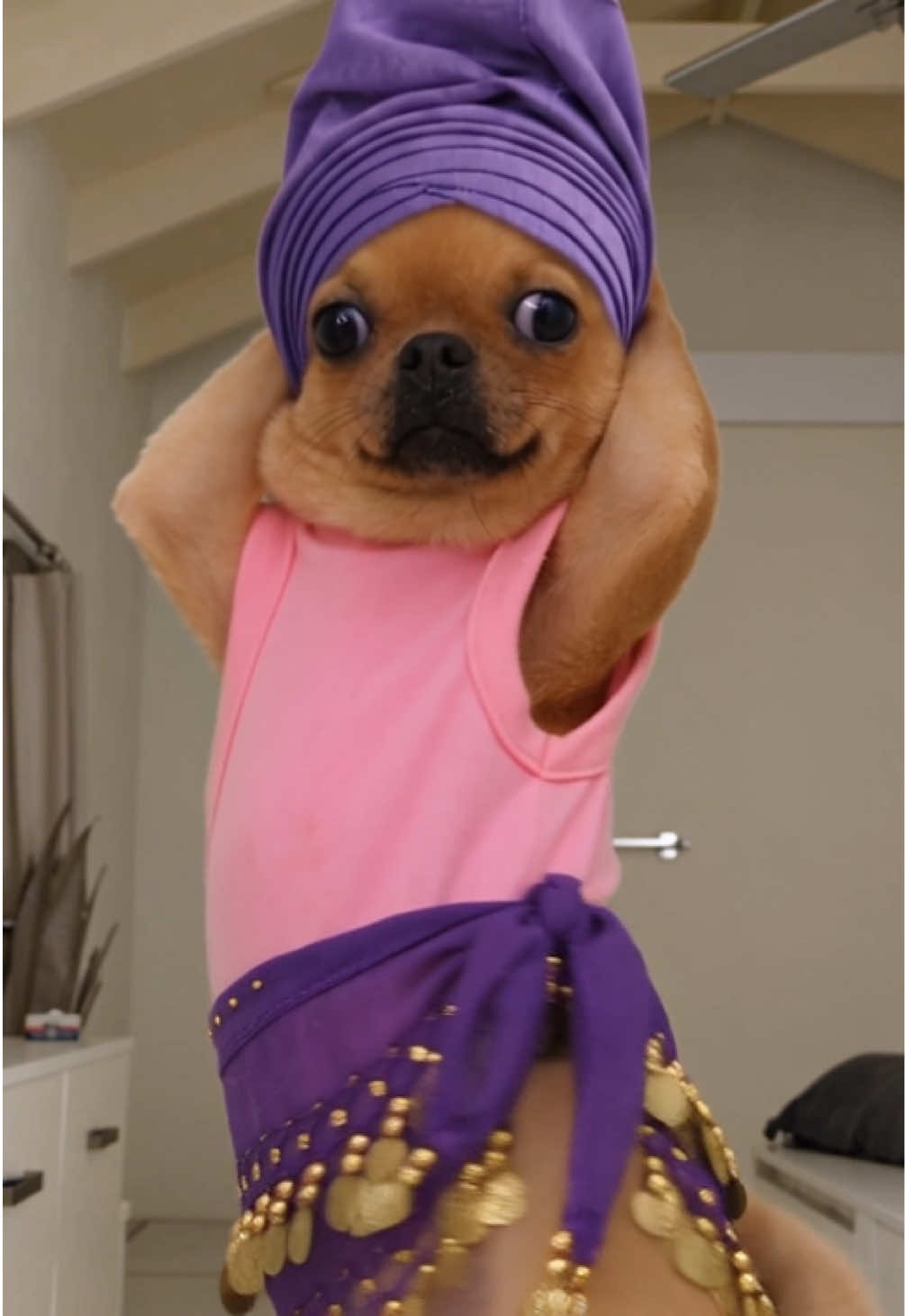 @Pawty