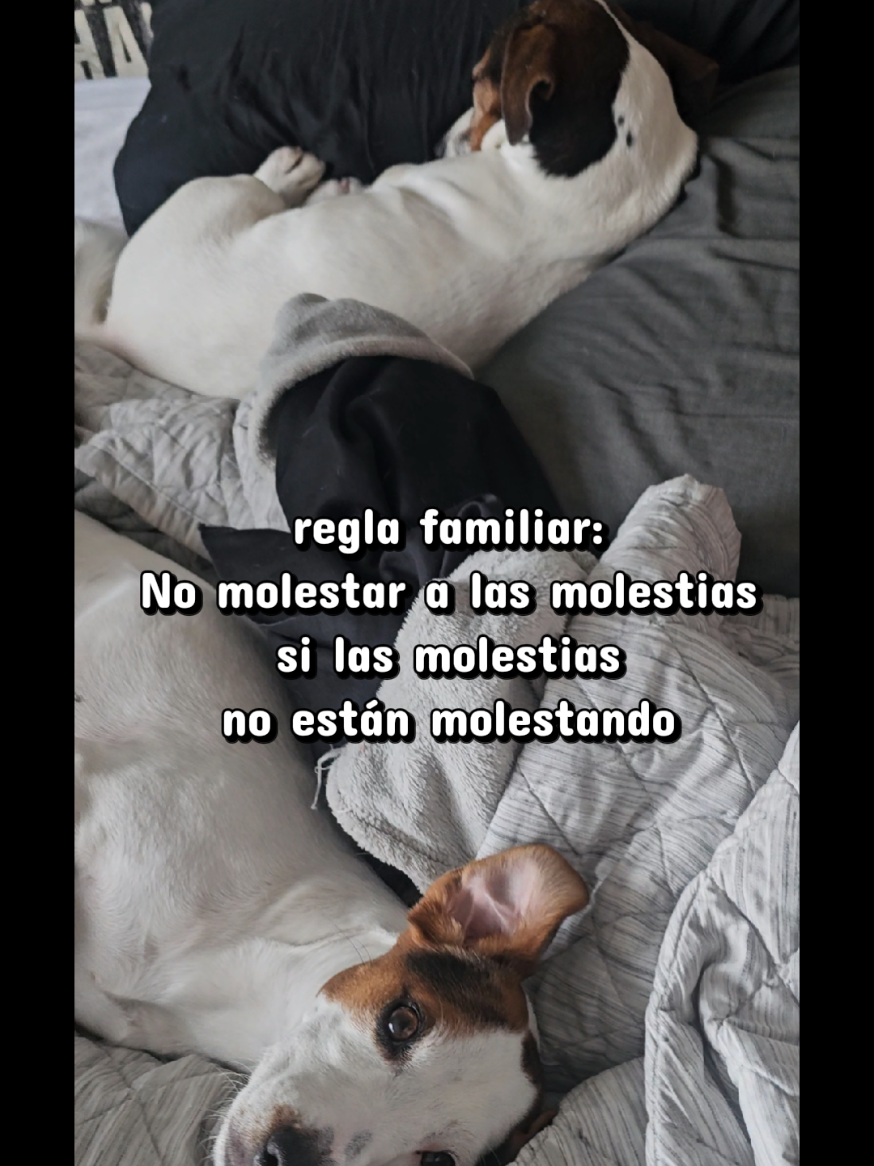 @Somos Teo y Tina