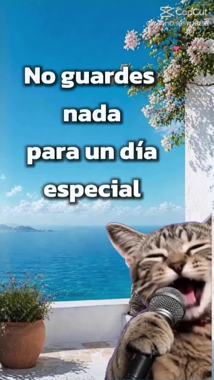 @Brenda marchan