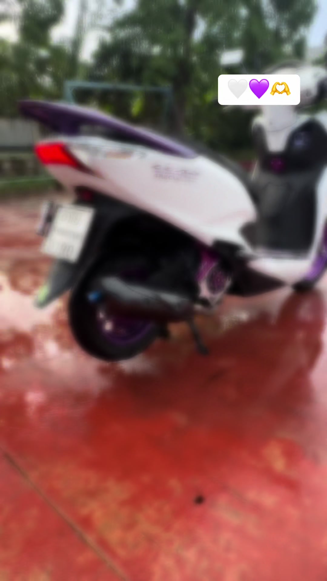 @๐๐ข๐ง ๐๐ก๐๐ง๐ญ