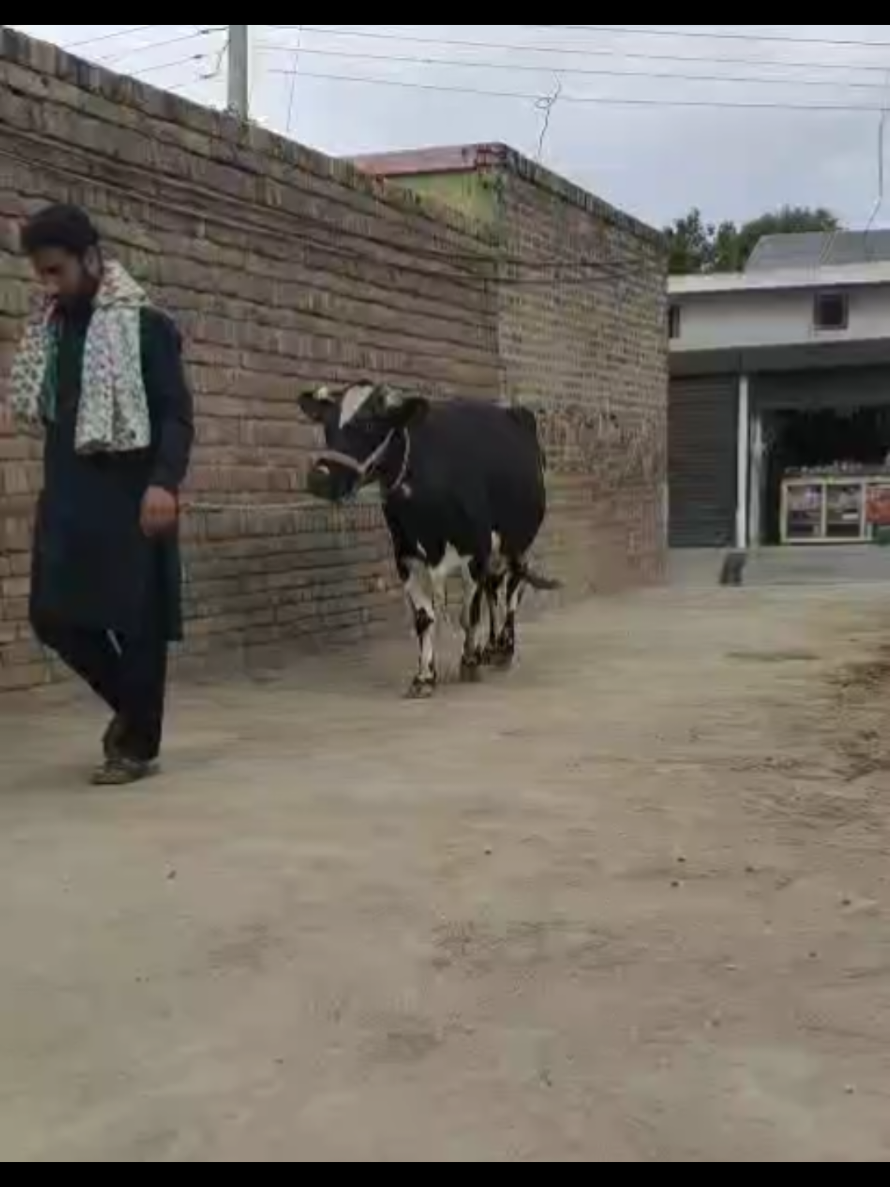 @Atiii❤️